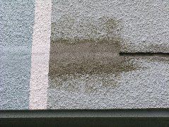 DSCN0126.JPG