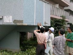DSCN0135.JPG