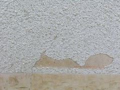 DSCN0118.JPG