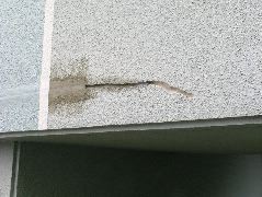DSCN0123.JPG
