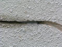 DSCN0125.JPG