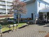 Jitikai090