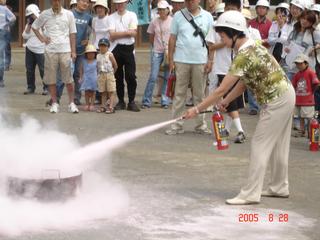 2005-08-28 11:01:31